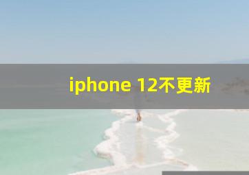 iphone 12不更新